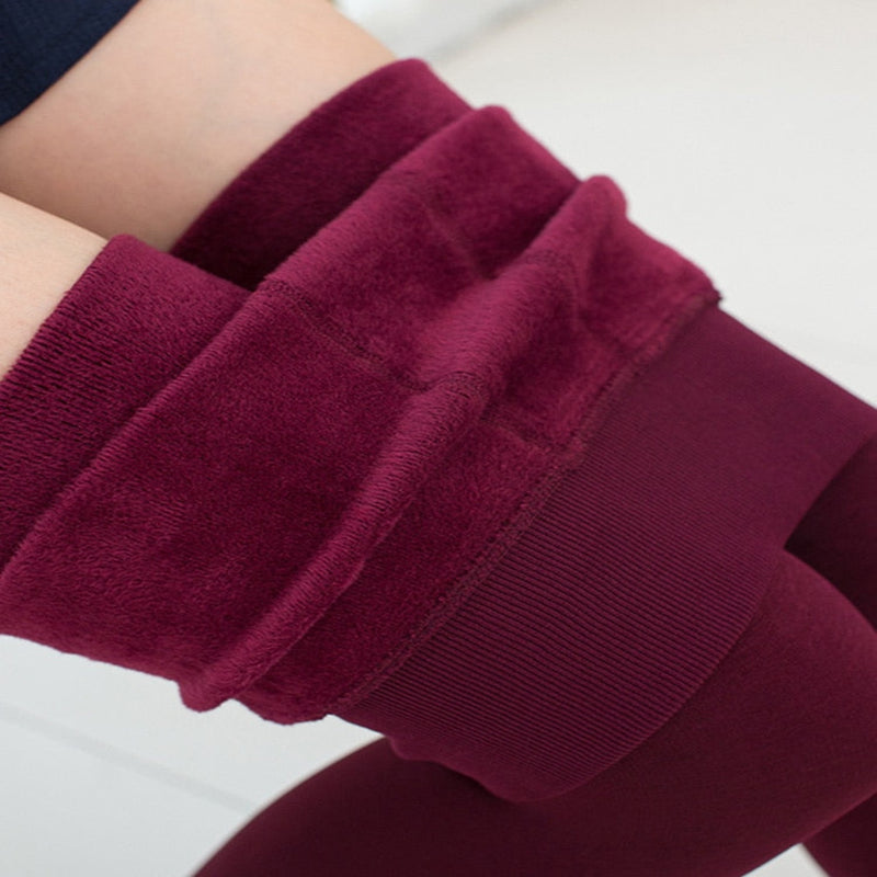OHS pants Wine Red / M Sugar™️ PLUS SIZE Fleece Lined Leggings Colour Blast Collection