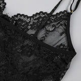 Exotic Apparel / Lacey Lingerie - OhSaucy